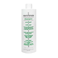 Нормалізуючий шампунь Envie Normalizing Shampoo (EN294) 200 г (розлив)
