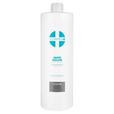 Шампунь для жирної шкіри голови Sinergy Regulation Shampoo, 1000 мл