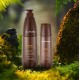 Шампунь против перхоти - Olorchee Anti Dandruff Shampoo, 80 мл